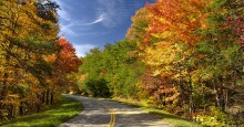 Beautiful fall colors. Photo 38498111 © Darrell Young | Dreamstime.com