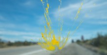 Insect splatter windshield: Photo Credit:  ID 144236934 © Larry Gevert | Dreamstime.com