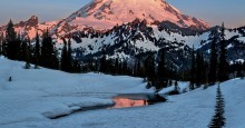 Mt. Rainier National Park